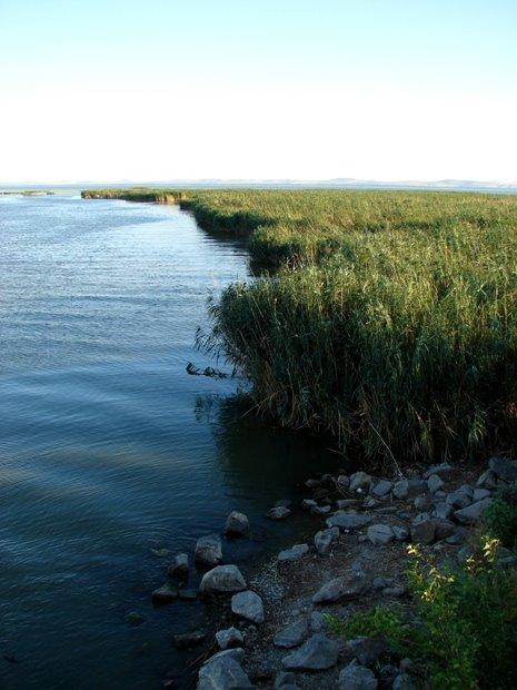Нова Некрасівка з panoramio.com - Nova Nekrasivka