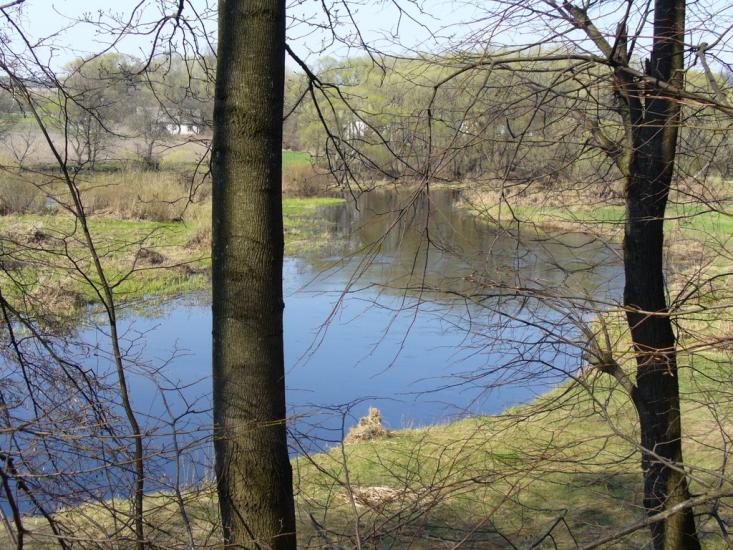 Пугачівка з panoramio.com - Пугачевка