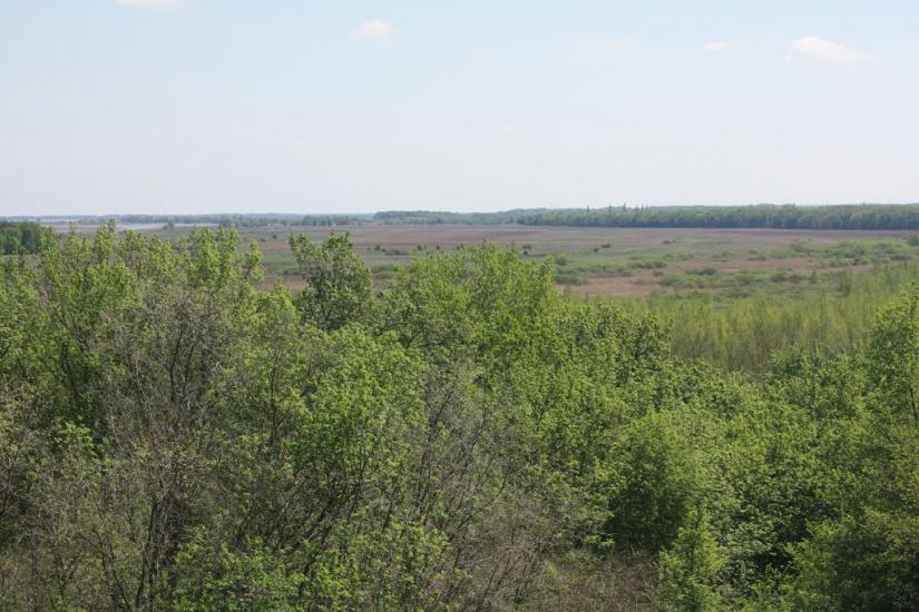 Велика Бурімка з panoramio.com - Великая Буромка