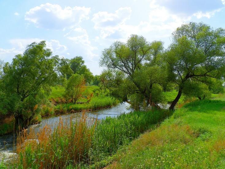 Біле з panoramio.com - Біле