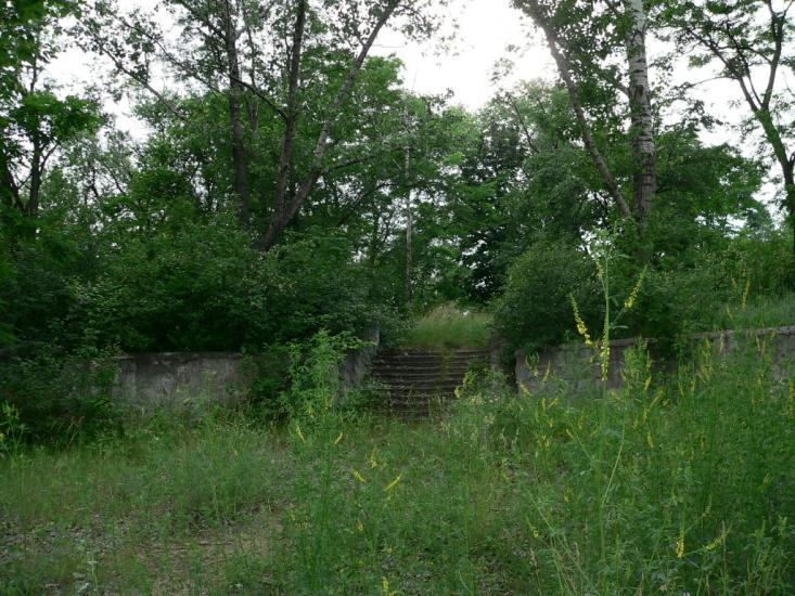 Малокостянтинівка з panoramio.com - Малоконстантиновка