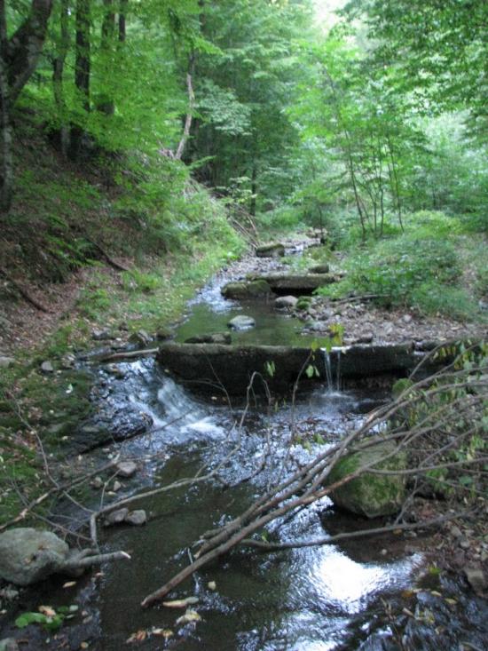 Зарічне з panoramio.com - Зарічне