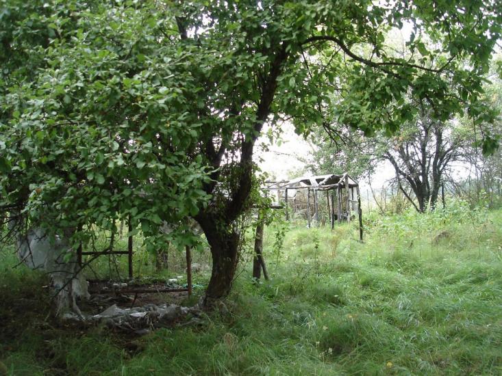 Лошакова Гута з panoramio.com - Лошакова Гута