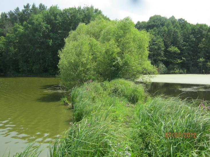 Комунарівка з panoramio.com - Коммунаровка