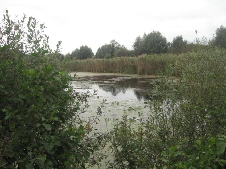 Піски з panoramio.com - Піски