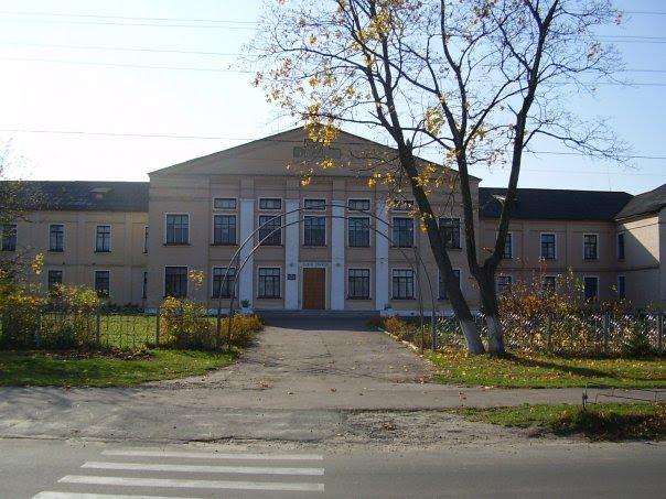 Ріпки з panoramio.com - Ripky