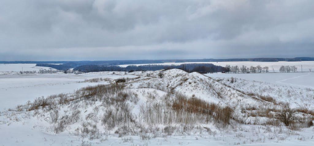 Більськ з panoramio.com - Bilsk