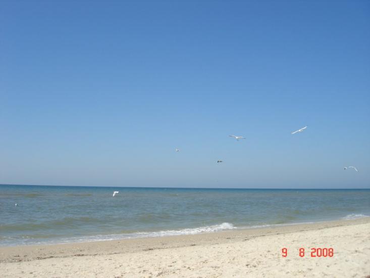 Більшовик з panoramio.com - Bilshovyk