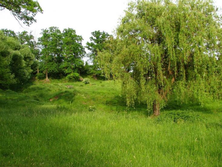 Кочеток з panoramio.com - Kochetok