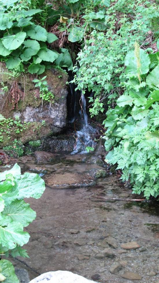 Біласовиця з panoramio.com - Біласовиця