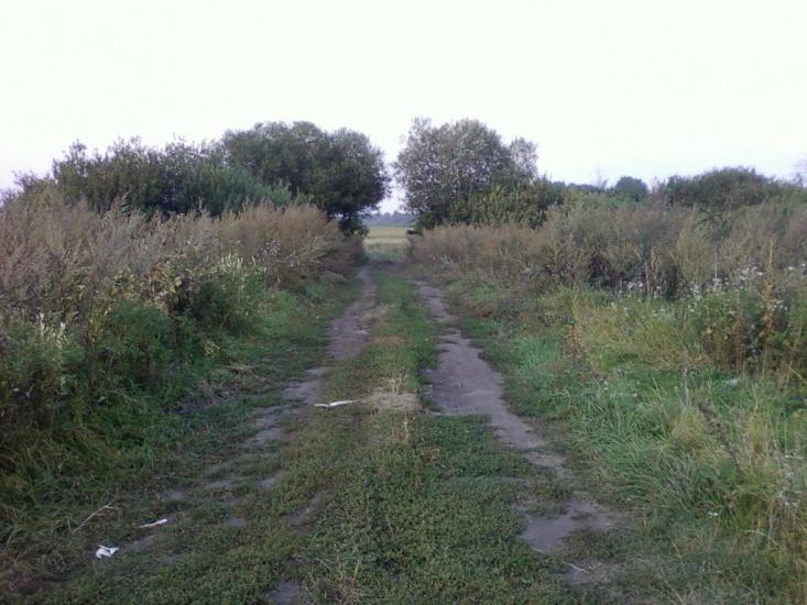 Сальник з panoramio.com - Сальник