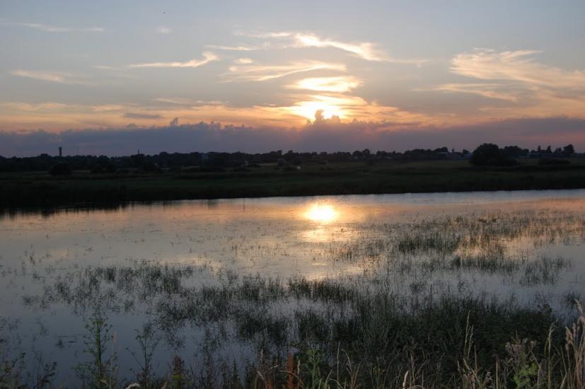 Рогізне з panoramio.com - Рогозное