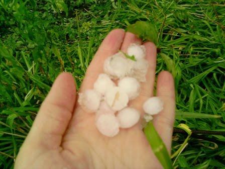 Сонячне з panoramio.com - Солнечное