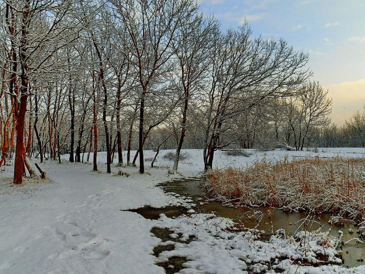 Булавинське з panoramio.com - Bulavynske