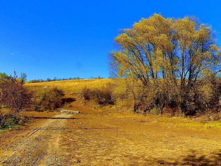 Ольховатка з panoramio.com - Olkhovatka