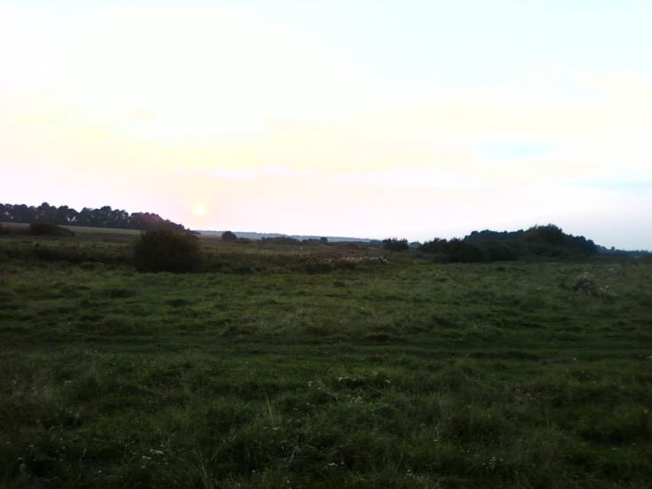 Сальник з panoramio.com - Сальник