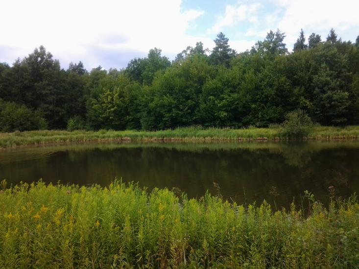 Слободяки з panoramio.com - Слободяки