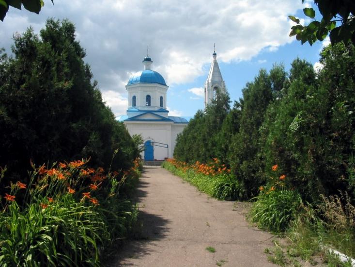 Красне з panoramio.com - Сонцівка