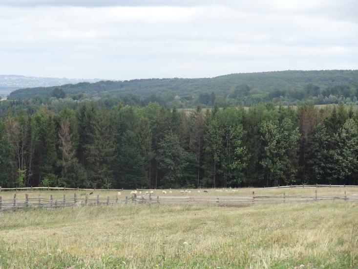 Купка з panoramio.com - Купка