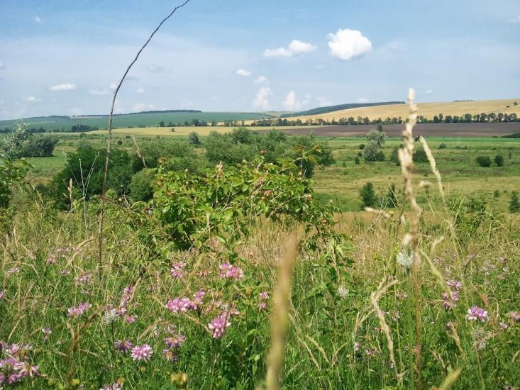 Новоукраїнка з panoramio.com - Новоукраїнка