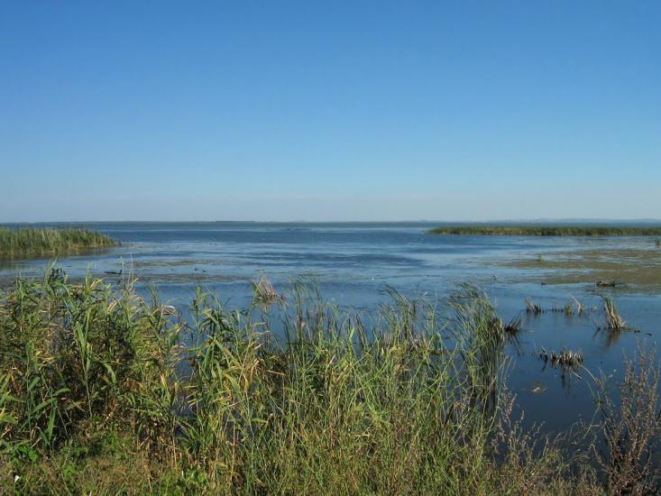 Нова Некрасівка з panoramio.com - Nova Nekrasivka