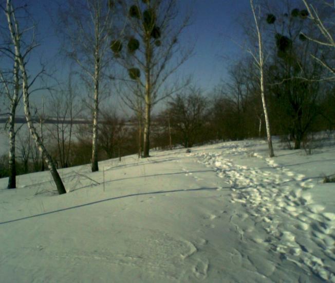 Засупоївка з panoramio.com - Засупоевка