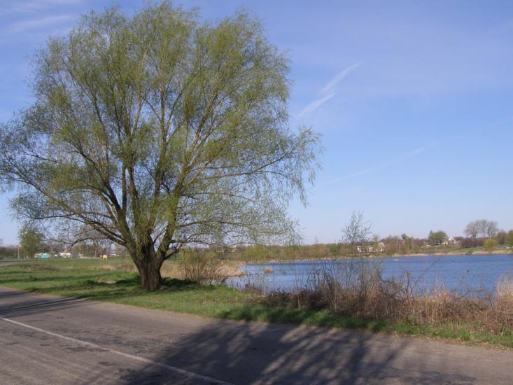 Пінчуки з panoramio.com - Пинчуки