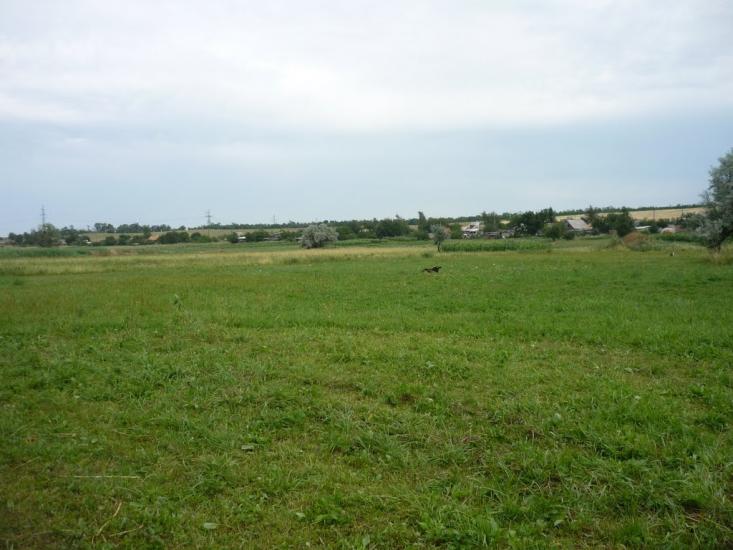 Широка Балка з panoramio.com - Широка Балка