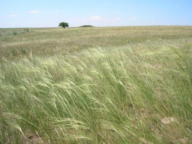 Недайвода з panoramio.com - Недайвода
