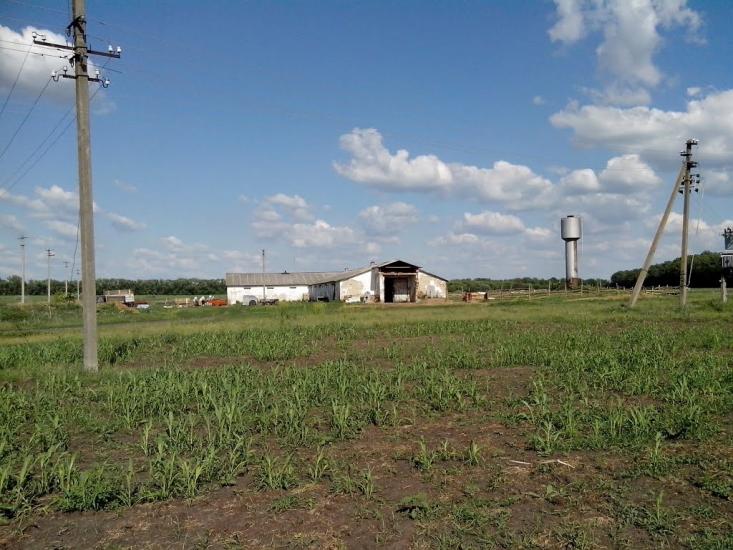 Єлизаветівка з panoramio.com - Єлизаветівка