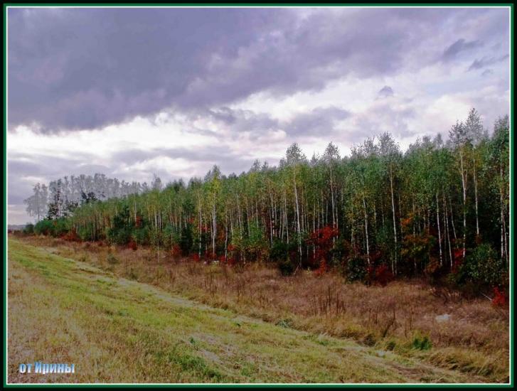 Іршанськ з panoramio.com - Іршанськ