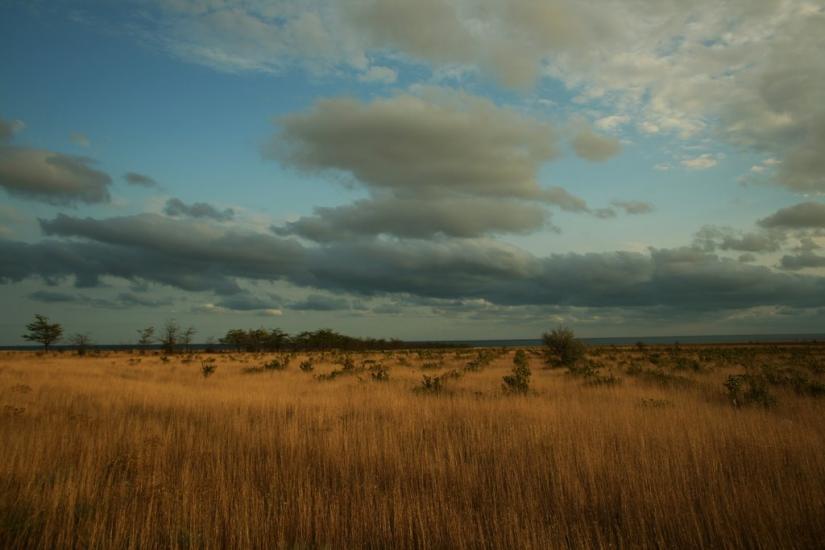 Громове з panoramio.com - Gromove