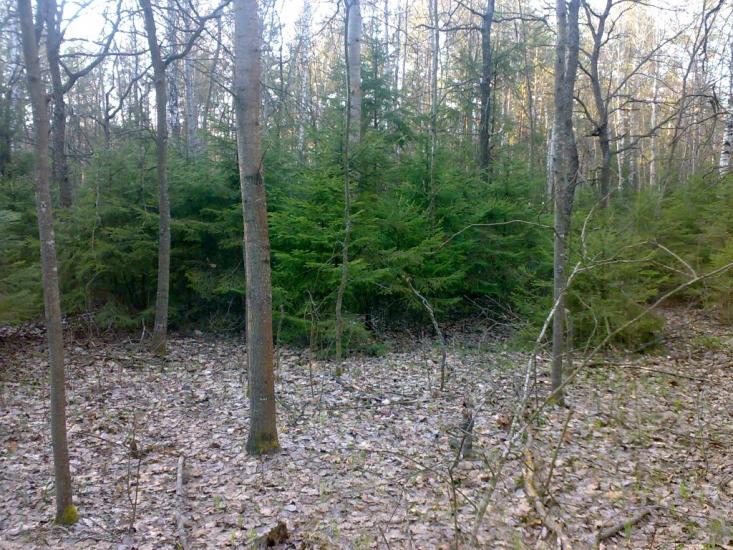 Бурімка з panoramio.com - Burimka