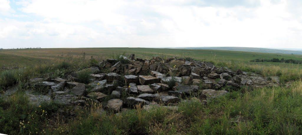 Мала Мартинівка з panoramio.com - Малая Мартыновка