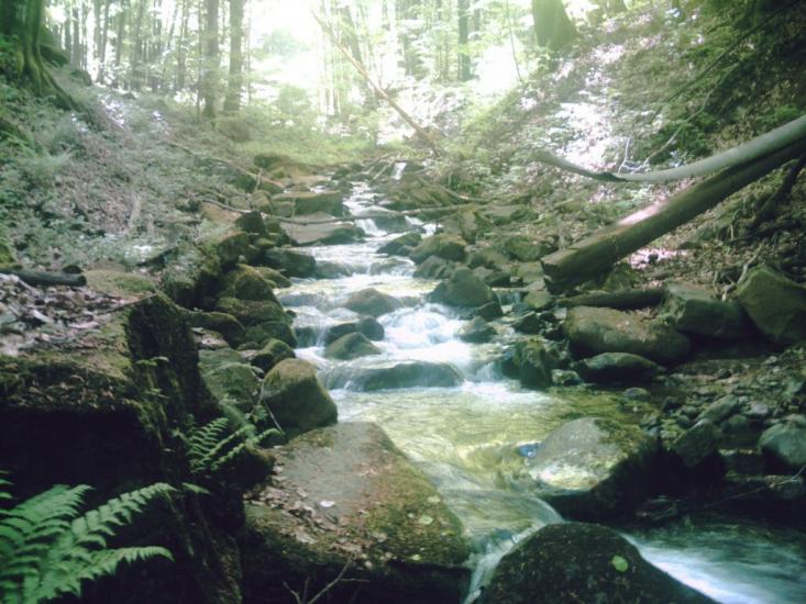 Яблунівка з panoramio.com - Яблоновка