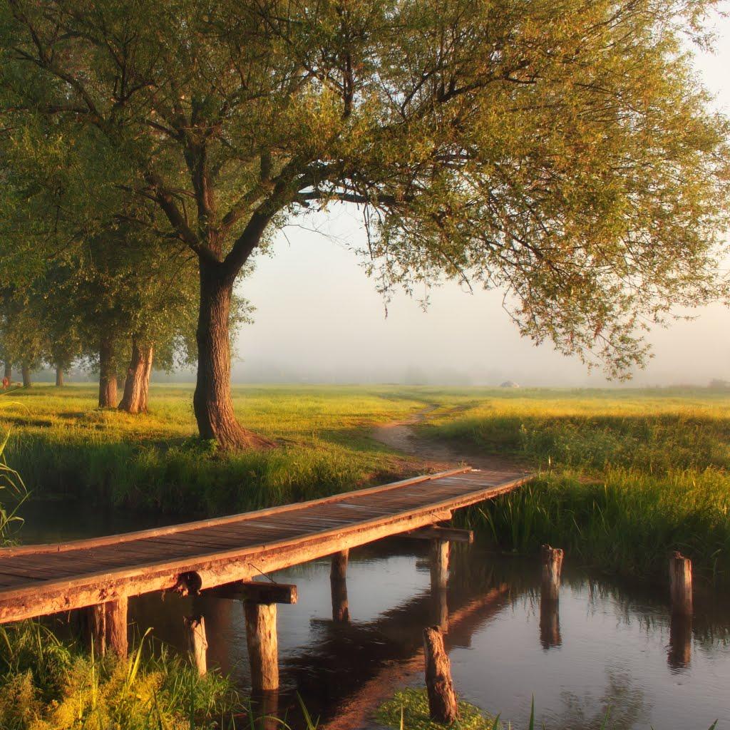 Вовчанськ з panoramio.com - Волчанск