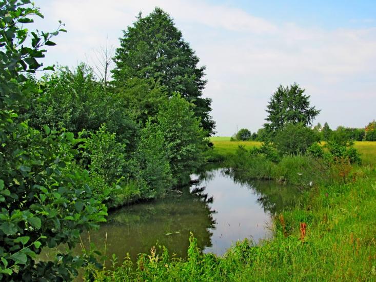 Хотин з panoramio.com - Хотин