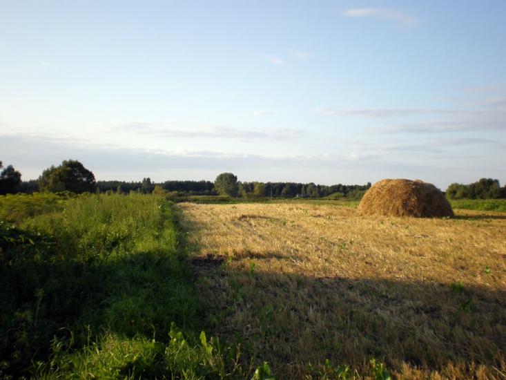 Облапи з panoramio.com - Oblapy