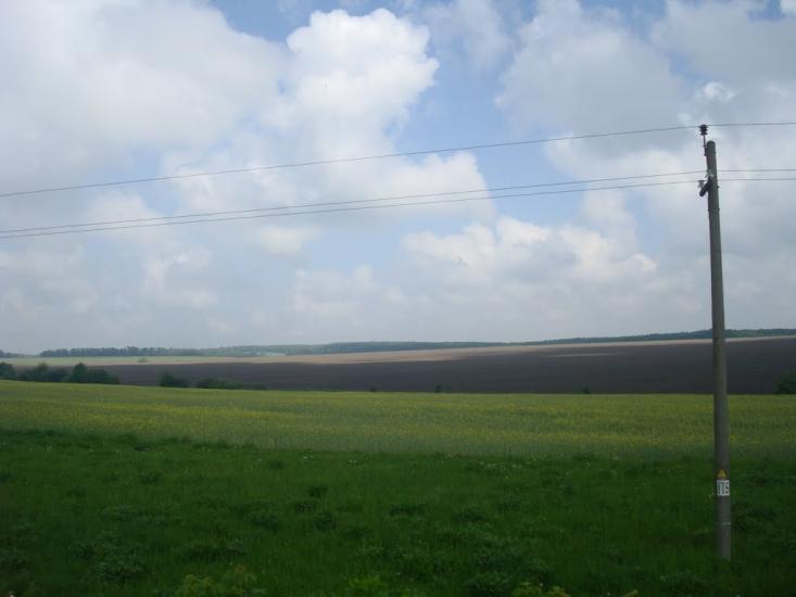 Нестерівці з panoramio.com - Нестеровцы
