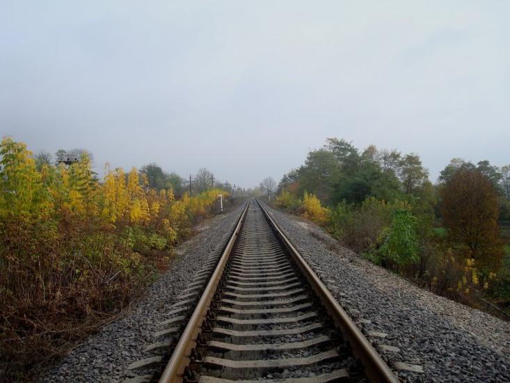 Вільхівці з panoramio.com - Ольховцы