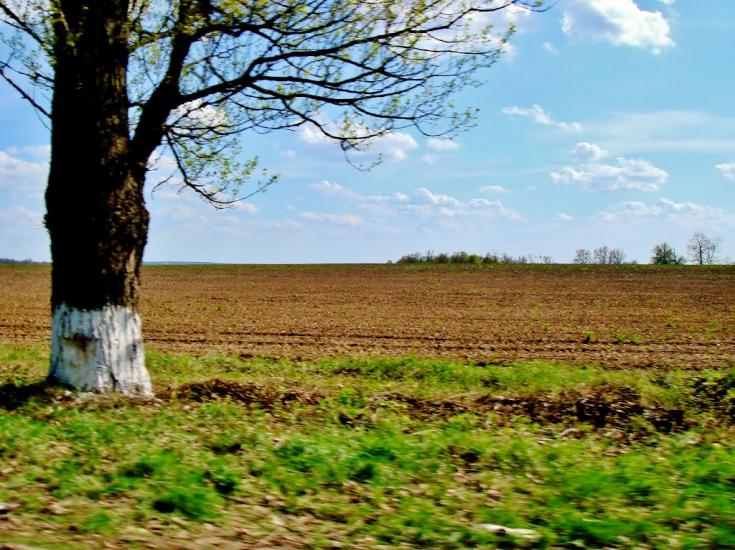 Стебне з panoramio.com - Stebne