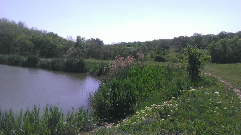 Золоте з panoramio.com - Zolote