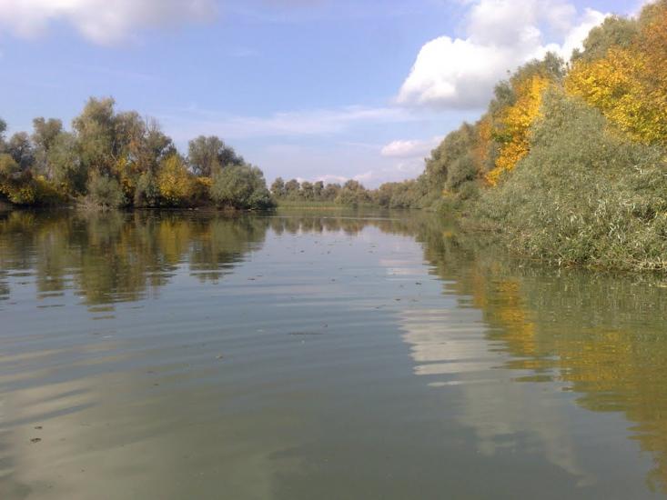 Дунайське з panoramio.com (ч.2) - Дунайське