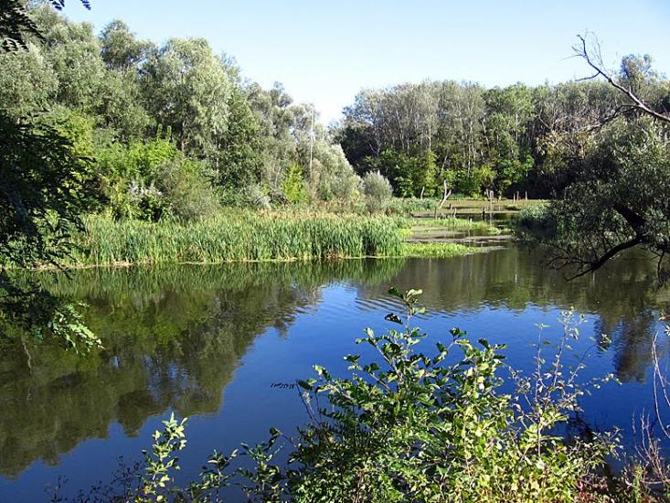 Книшівка з panoramio.com - Кнышовка