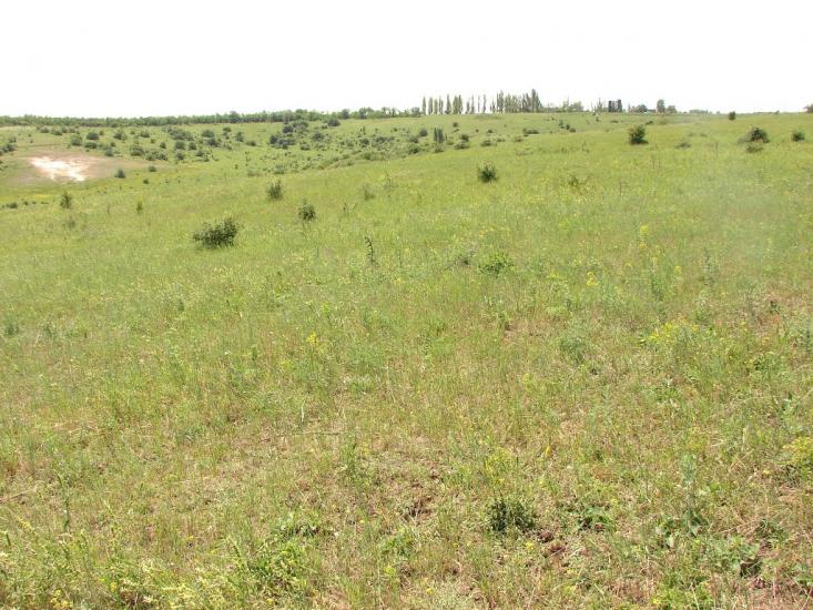 Никанорівка з panoramio.com - Никаноровка