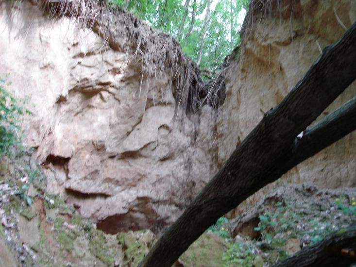 Мліїв з panoramio.com - Млиев