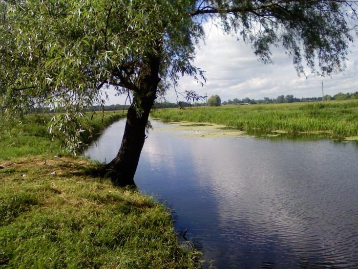 Березань з panoramio.com - Березань