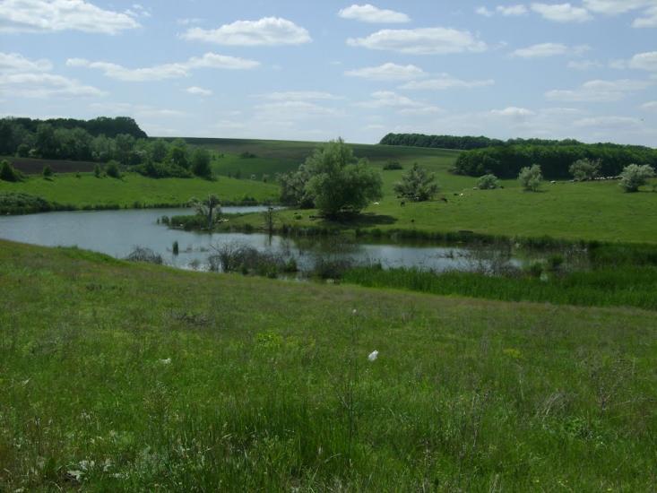 Сковородинівка з panoramio.com - Сковородинівка