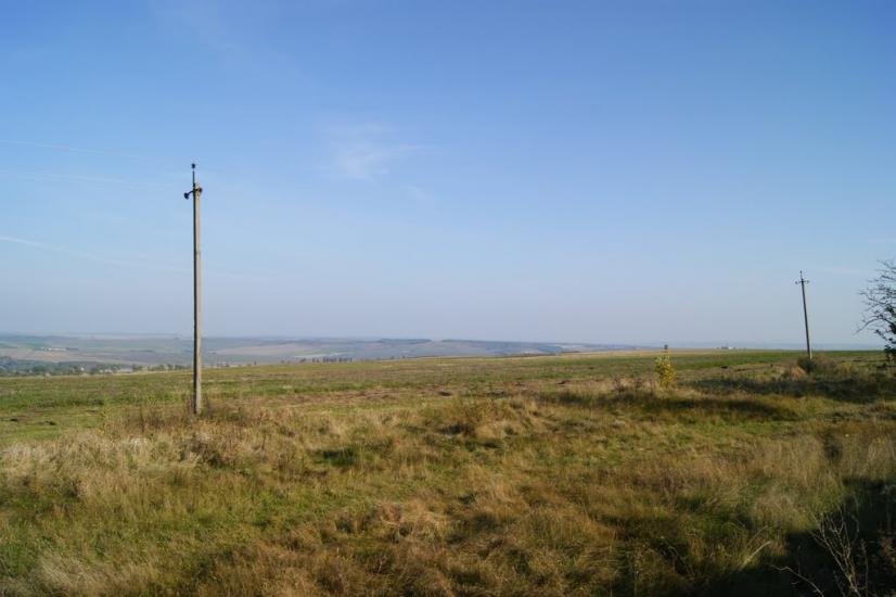Несвоя з panoramio.com - Nesvoya