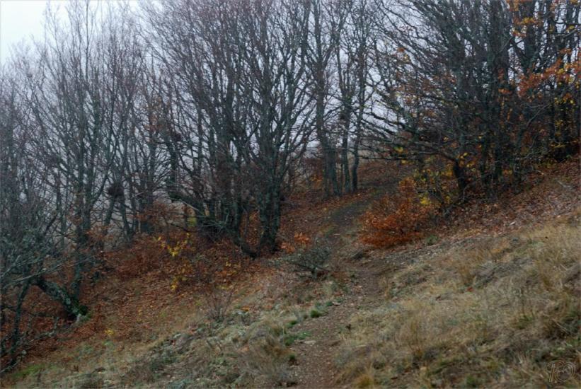 Міжріччя з panoramio.com - Междуречье